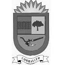 Municipalidad de Corralito